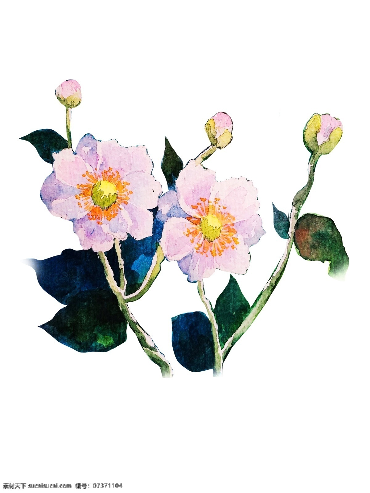 手绘 花朵 小清 新手 绘 花 草 水彩 手绘花朵 小清新 手绘花 手绘草 水彩花 森系 矢量 绿叶 鲜花