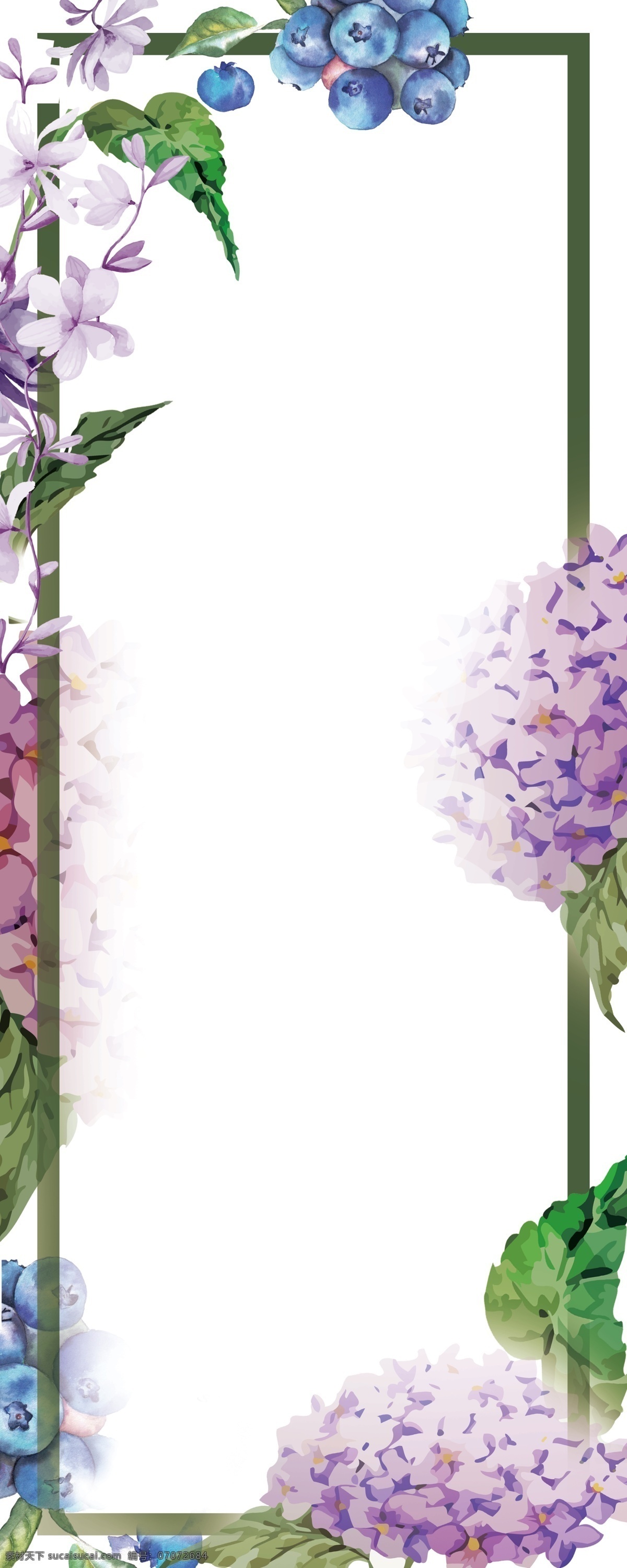 手绘 紫罗兰 花束 易拉宝 背景 图 绣球花束 树叶 蓝莓 背景图 花藤 紫色花束 紫色藤蔓 分层 背景素材