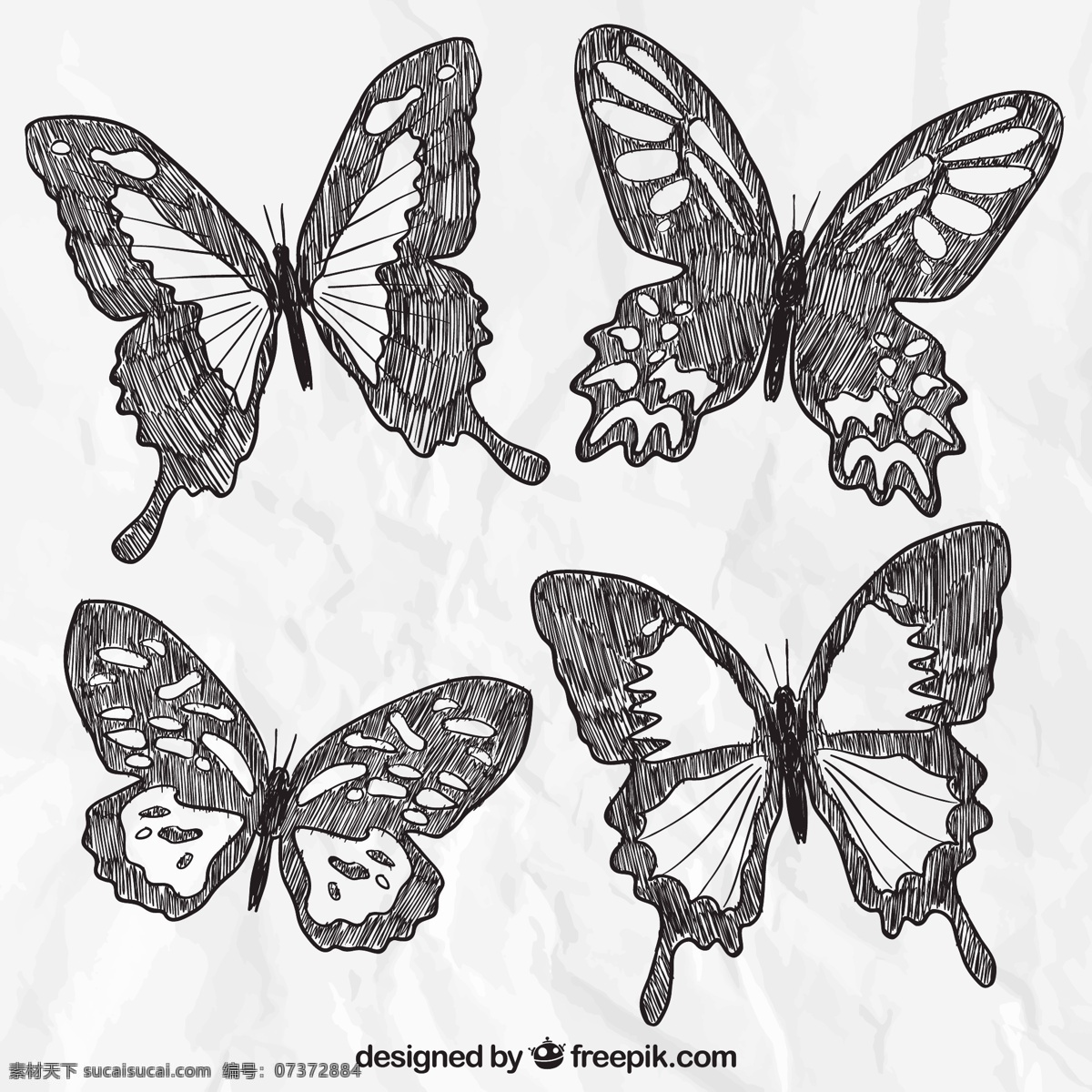 手绘蝴蝶 蝴蝶 动物 绘制 翅膀 绘图 手工 绘画 昆虫 抽纱 飞行 手绘 图标 高清 源文件