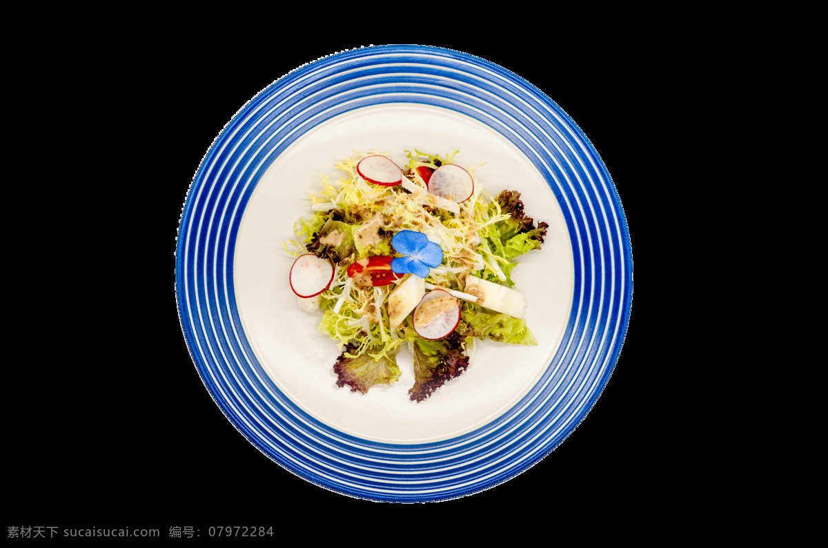 蔬菜沙拉图片 蔬菜沙拉 透明文件 蔬菜 沙拉 前菜 凉菜 西式 蔬菜拼盘 西式餐盘 美味 餐具 实物 事物 餐饮 美食 生活百科 餐饮美食