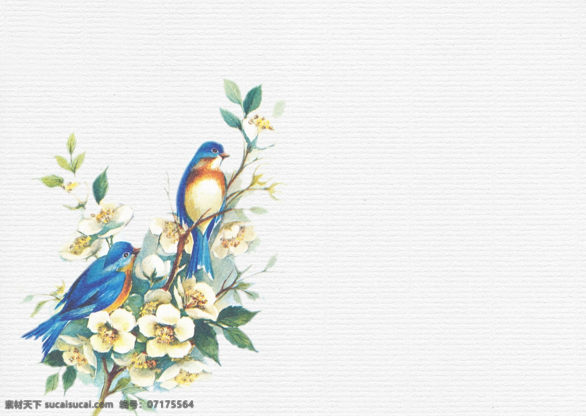 中国风鸟素材 背景 花的 蓝色鸟 绿色纹理 叶子开花