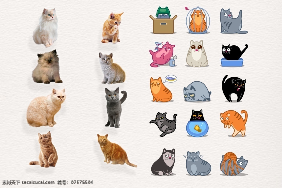 可爱 可爱猫咪 喵星人 猫 萌 淘气 喵喵 宠物 动物 小猫 喵 萌萌哒 小可爱