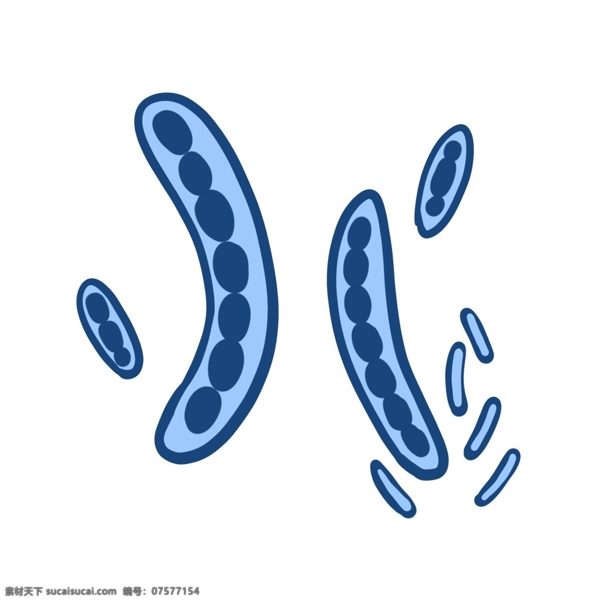 条状 细胞 细菌 免 抠 病毒 卡通细菌 扁平细菌 卡通细胞 扁平细胞 触手 触角 杀菌 微生物 霉菌 细胞链 疾病 健康 仿真细菌
