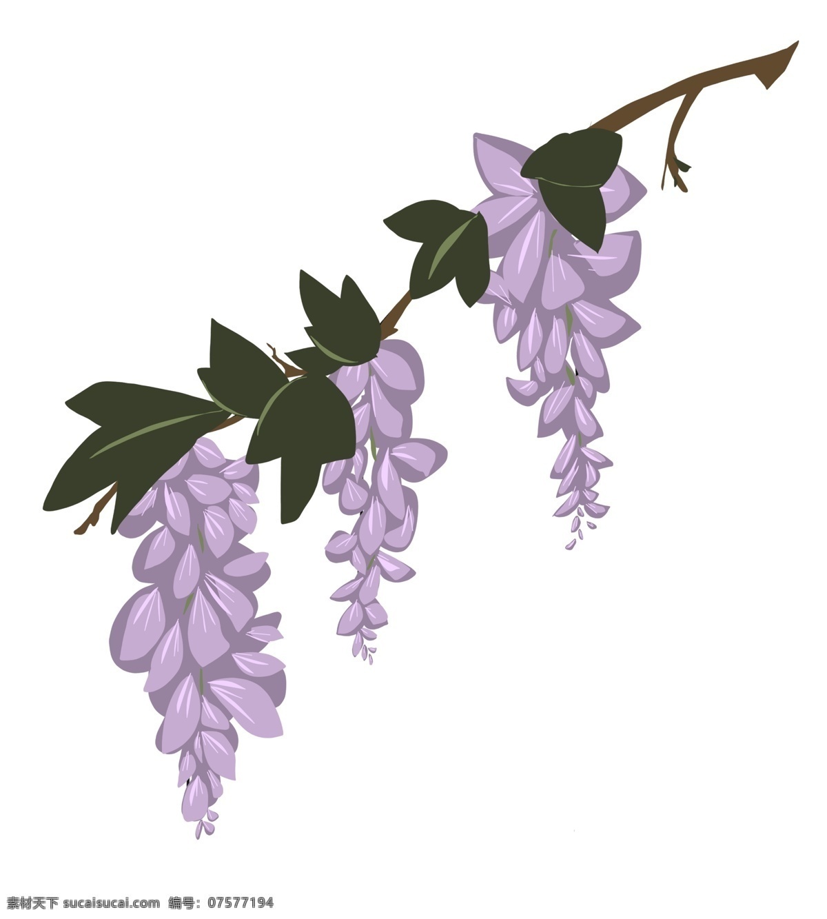卡通 紫色 花朵 插画 盛开的鲜花 卡通花朵插画 花卉 紫色花朵 春天的花枝 创意鲜花插画 美丽的花朵