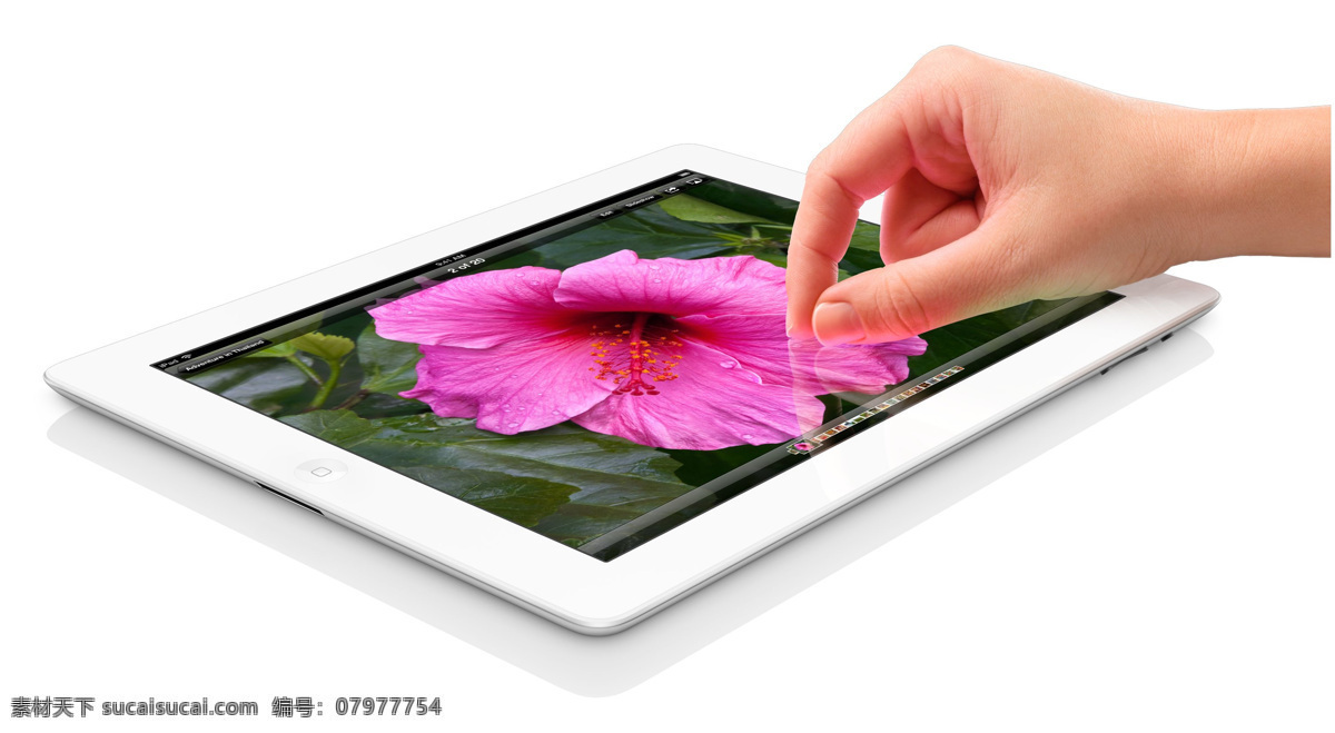 apple ipad ipadmini 电脑网络 平板电脑 苹果 苹果平板 applemini 苹果平板电脑 生活百科 手机 app