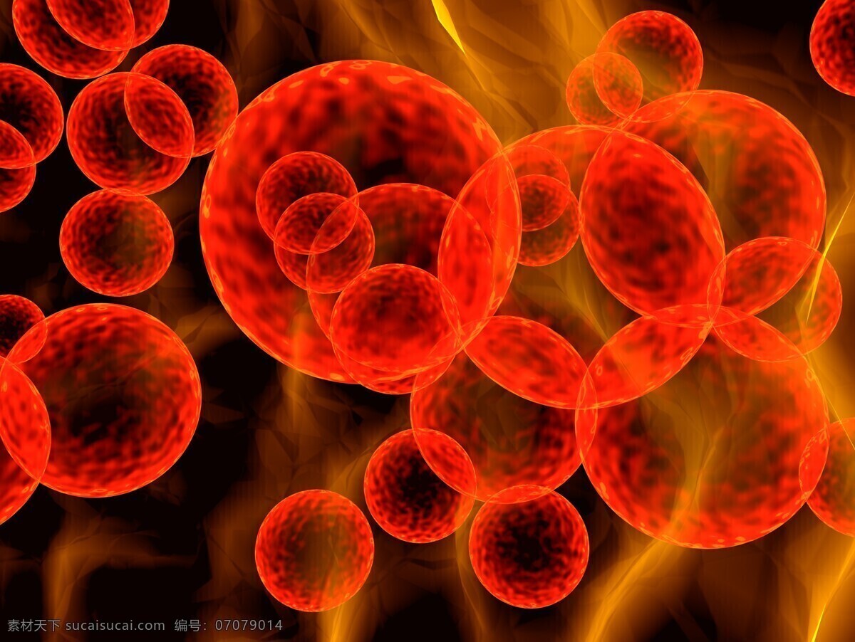 红色 圆形 生物 病毒 显微镜 红色圆形 细菌 细胞 微生物 人生组织 科学 实验 昆虫 医疗护理 现代科技