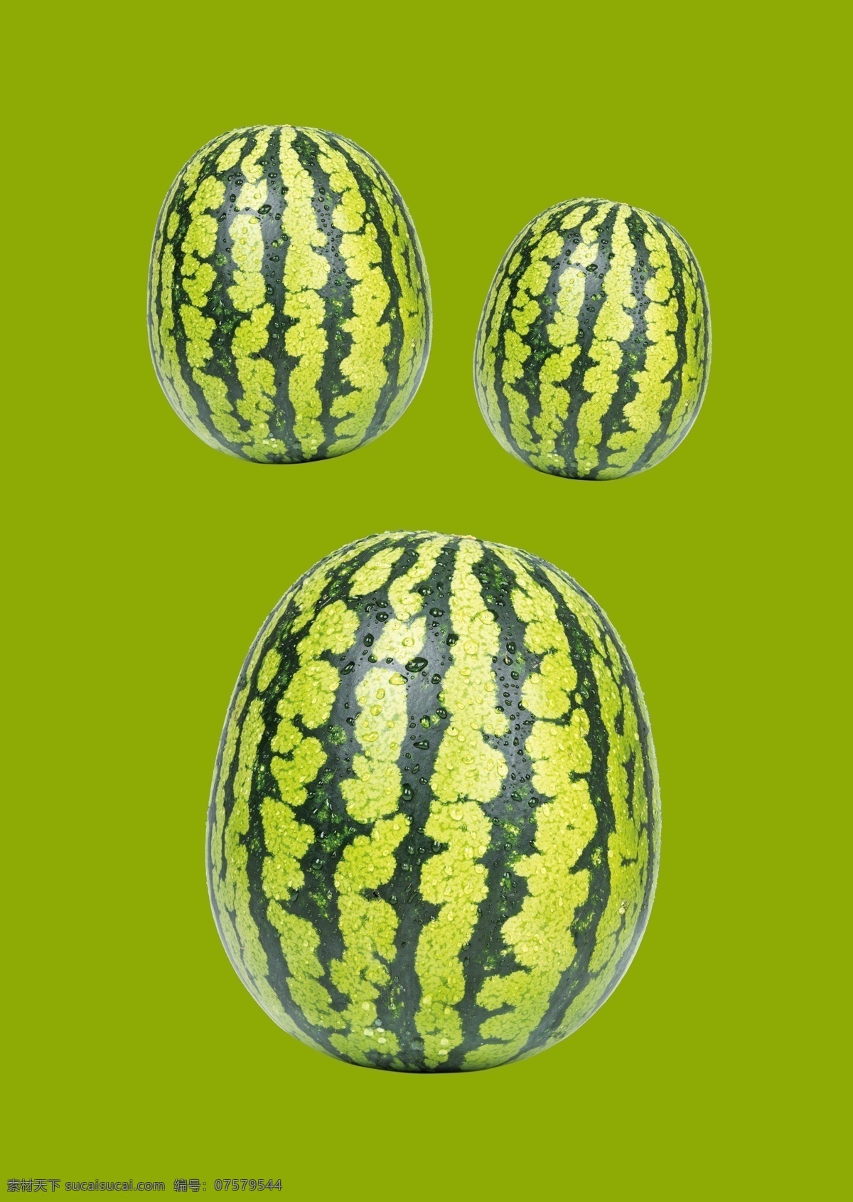 瓜 水果 蔬菜 大西瓜 免扣西瓜 生物世界
