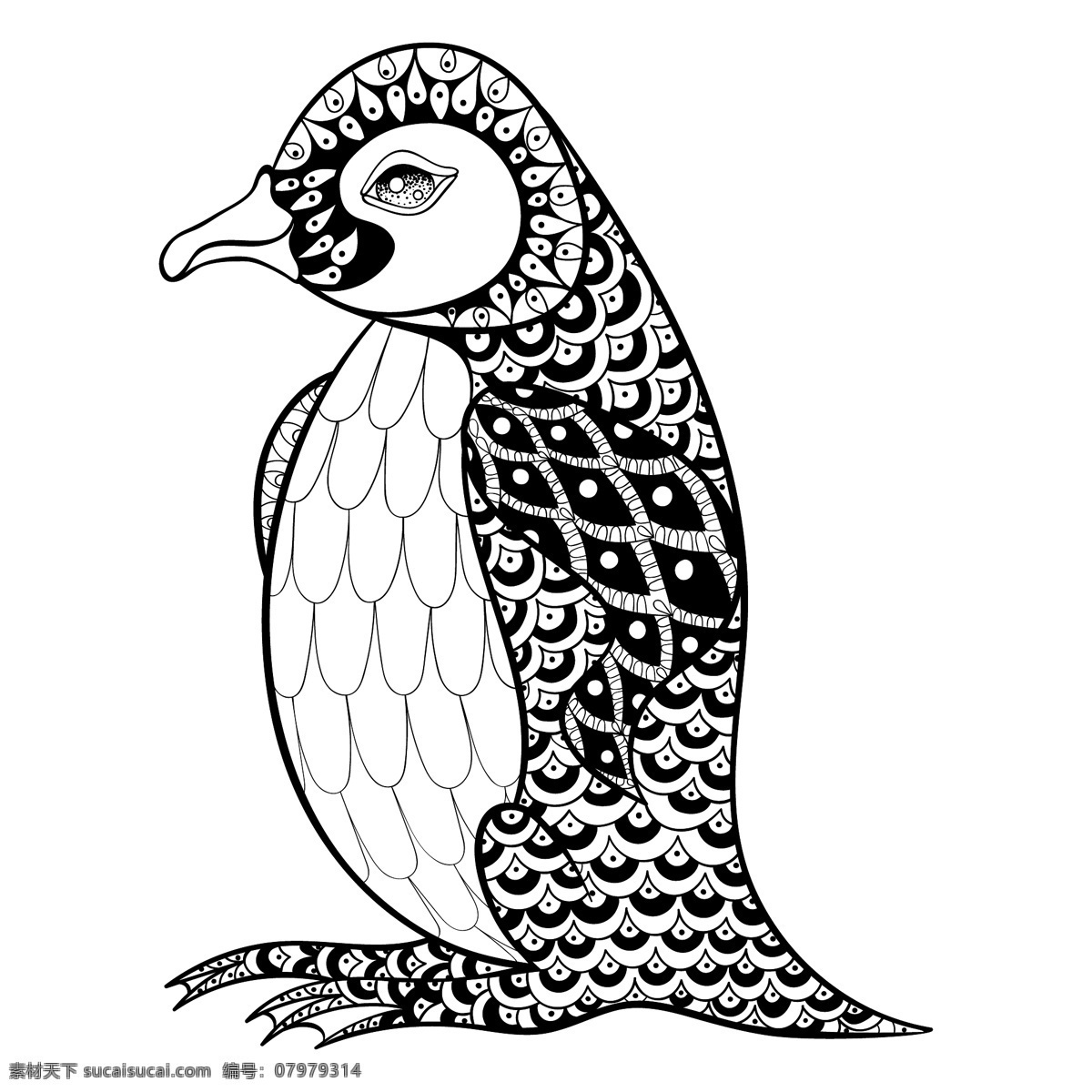 黑白 手绘 卡通 企鹅 插画 动物 可爱