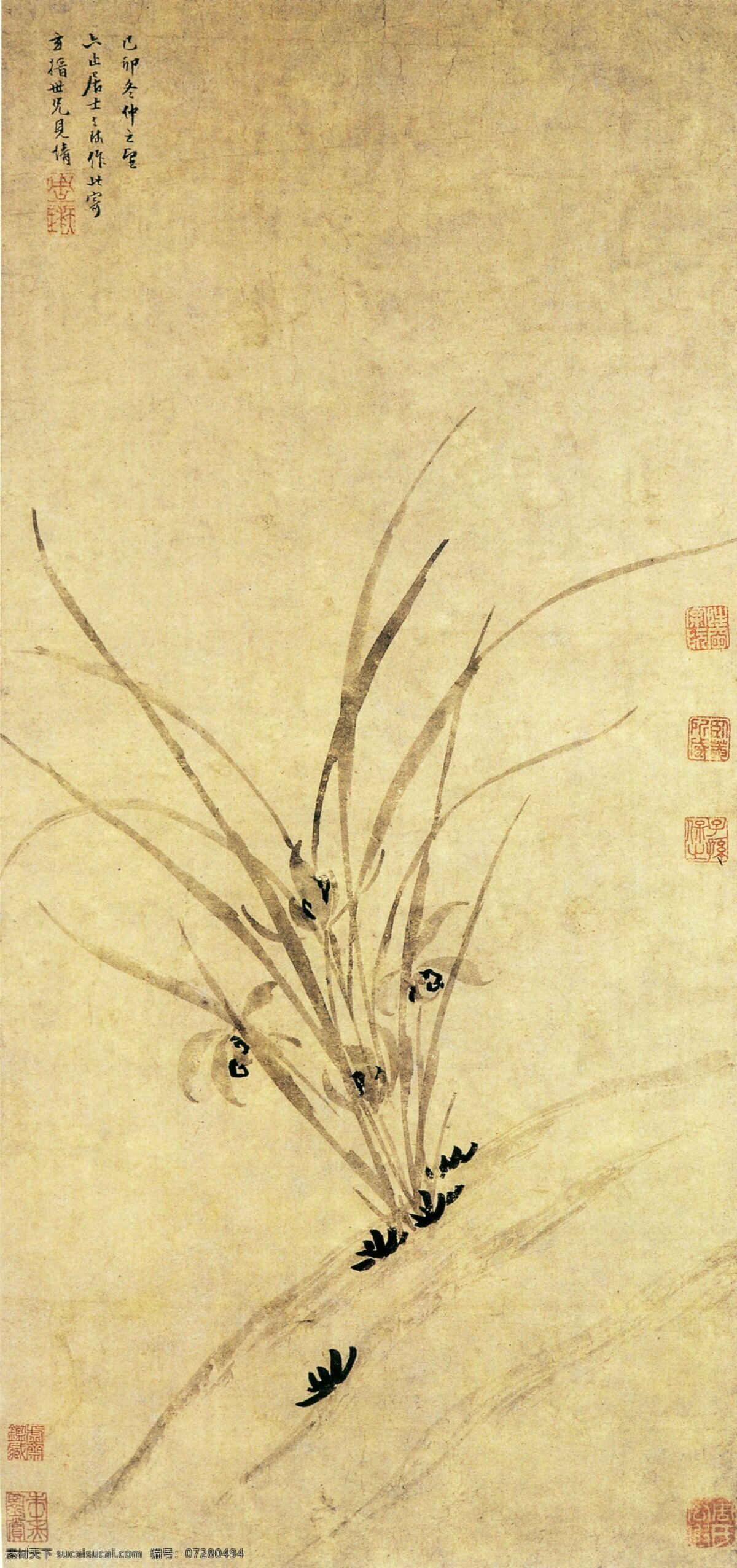 周天球兰花图 国画 兰花 花蕊 杂草 文化艺术 绘画书法 国画花鸟 设计图库