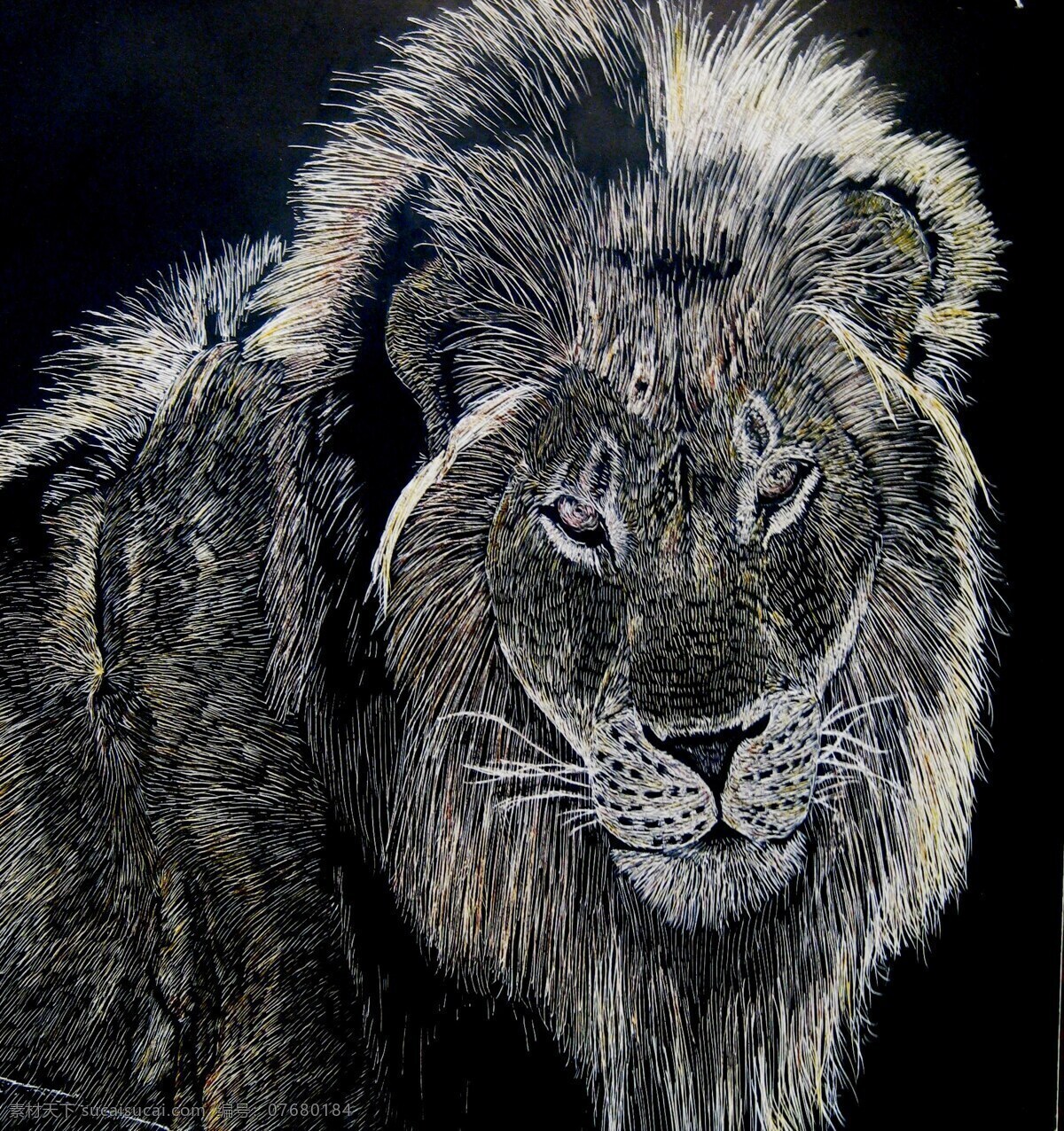 木刻狮子 摄影图片 摄影素材 艺术图片 木刻动物 木刻 设计素材 文化艺术