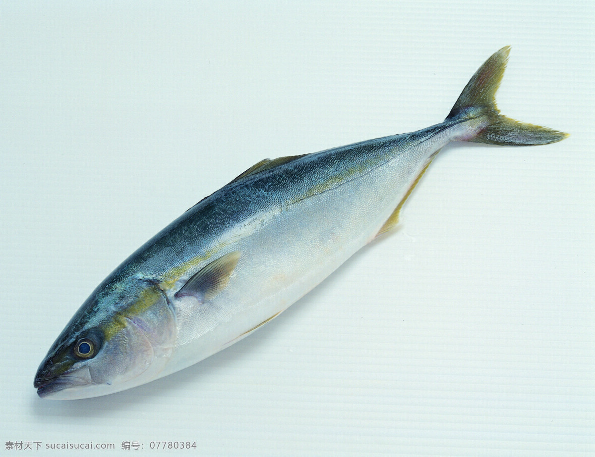 鲐 鱼 海鲜 海鲜素材 摄影图库 生物世界 鱼类 鲐鱼