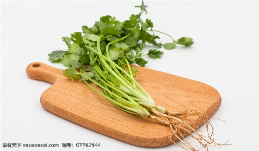 香菜 芫荽 盐荽 胡荽 香荽 延荽 漫天星 食材 餐饮美食 食物原料