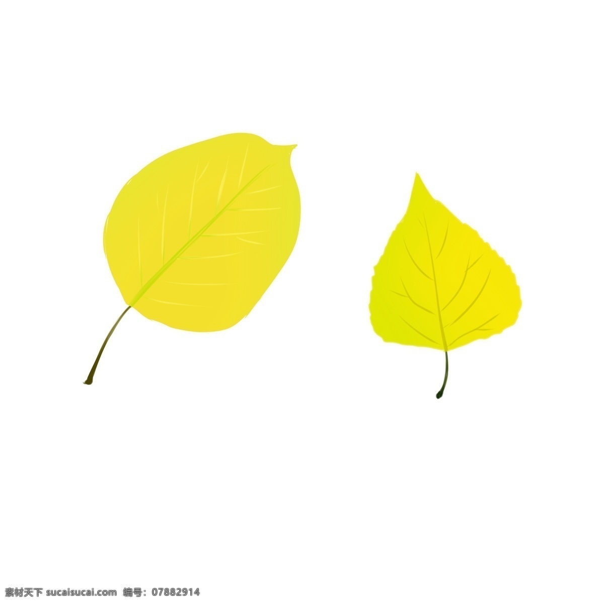 黄色 秋风 落叶 手绘 秋天 叶子 树叶 深秋 插画 背景装饰 大自然 金秋
