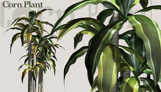 植物 3d 模型 更新 动植物模型