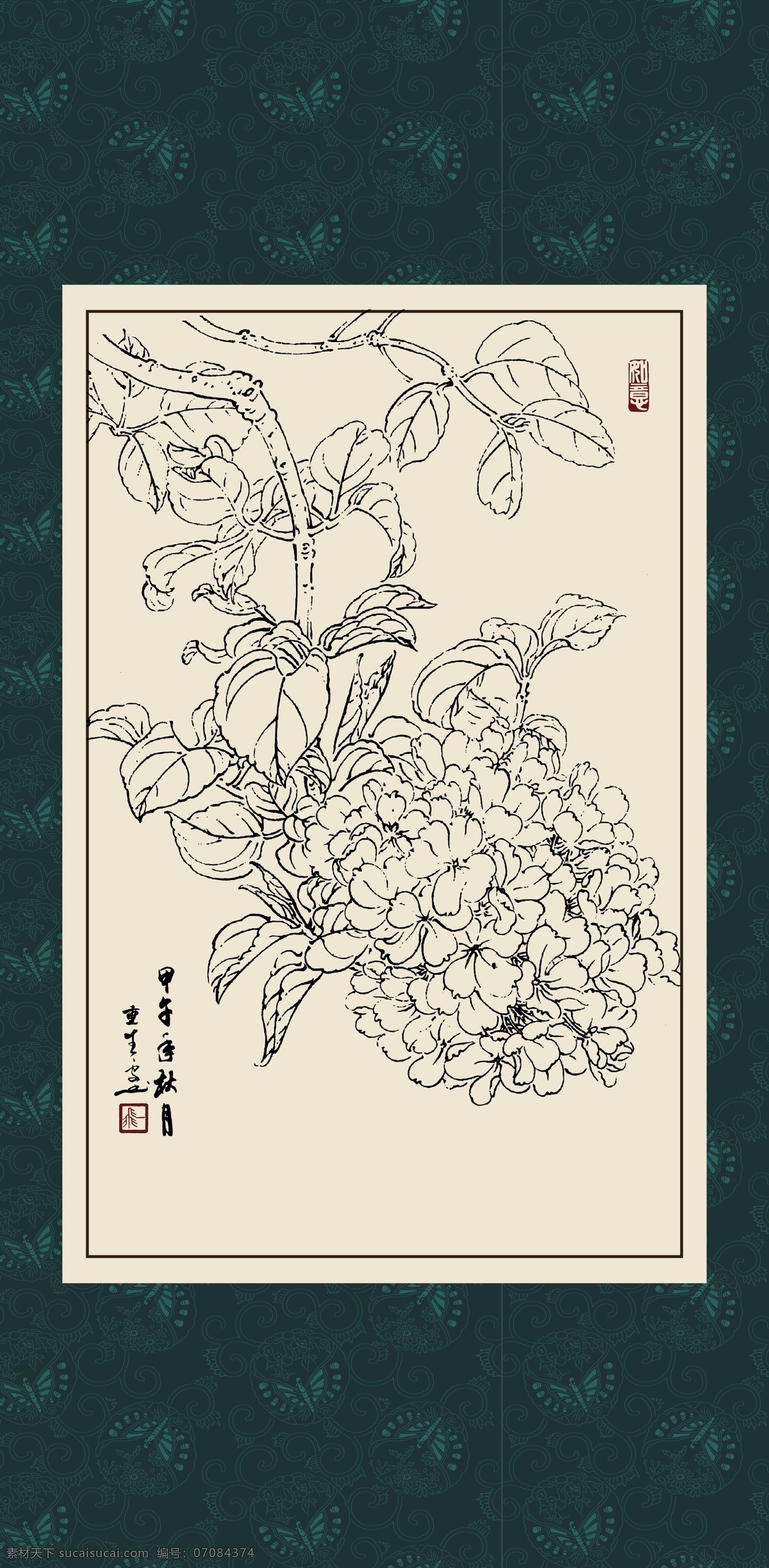 绣球 绘画 白描 线描 手绘 国画 毛笔画 工笔 轮廓 印章 书法 装裱 植物 花卉 花草 花鸟 昆虫 白描花卉 文化艺术 绘画书法