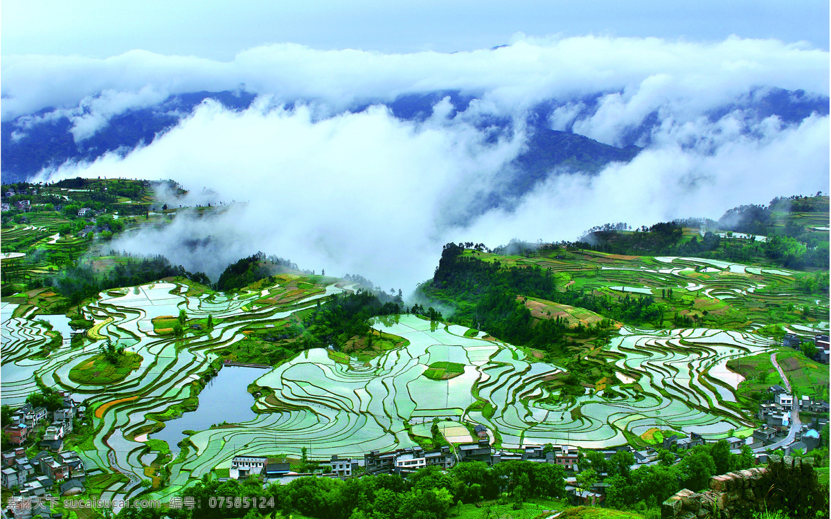 梯田风景 人文风景 自然景色 梯田 人文 景观 农业 种植 水稻 文化 农耕文明 山上的水田 自然景观 风景名胜