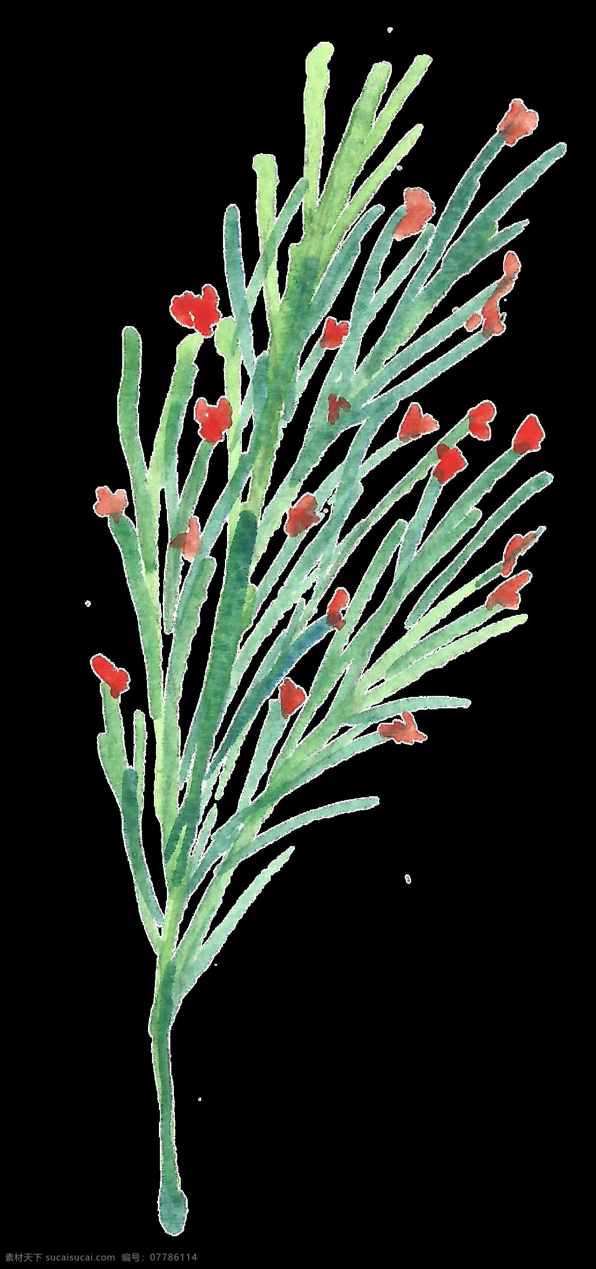 红心 树叶 卡通 水彩 透明 花叶 花束 透明素材 免扣素材 装饰图案