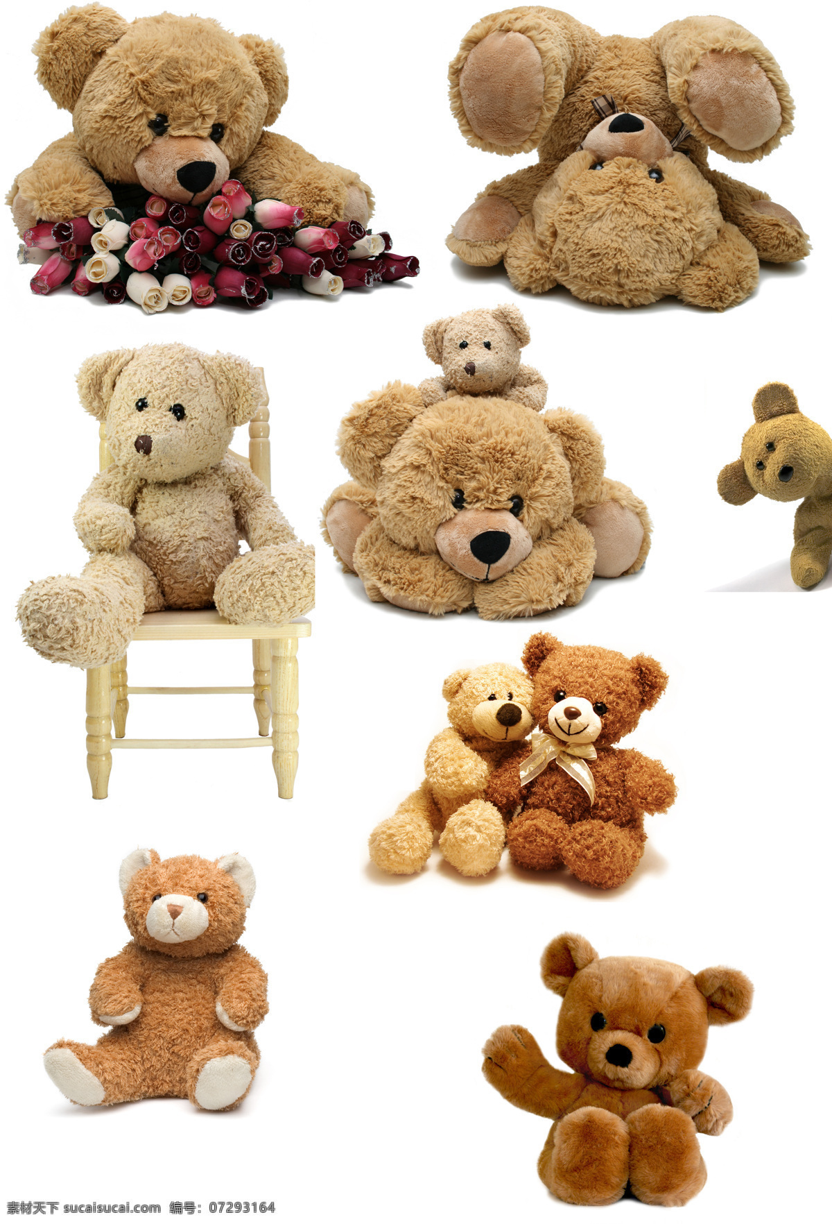 玩具 熊 布娃娃 生活百科 生活用品 玩具熊 小熊 设计素材 模板下载 毛毛熊 psd源文件