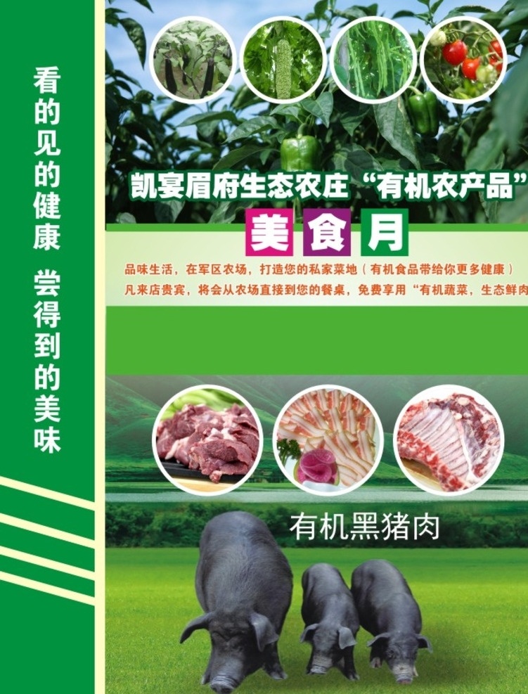 绿色灯片 绿色背景 有机蔬菜 黑猪肉 美食月