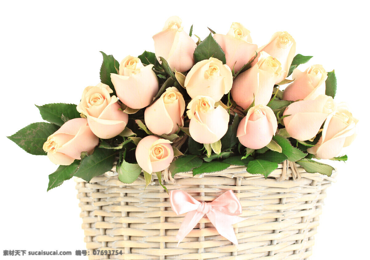 竹篮 里 粉 玫瑰 粉玫瑰 粉色花朵 粉色玫瑰 篮子 唯美花朵 玫瑰花