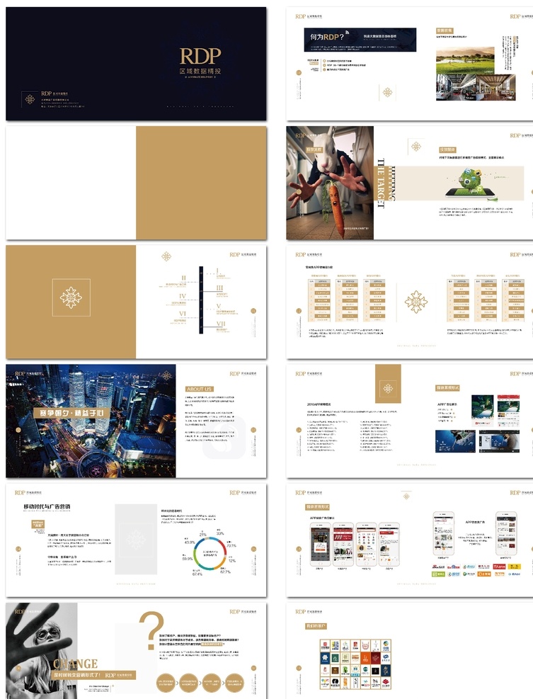 产品宣传册 宣传册 直击目标客群 媒体 地产 项目 蓝色封面 金字 画册排版 画册设计