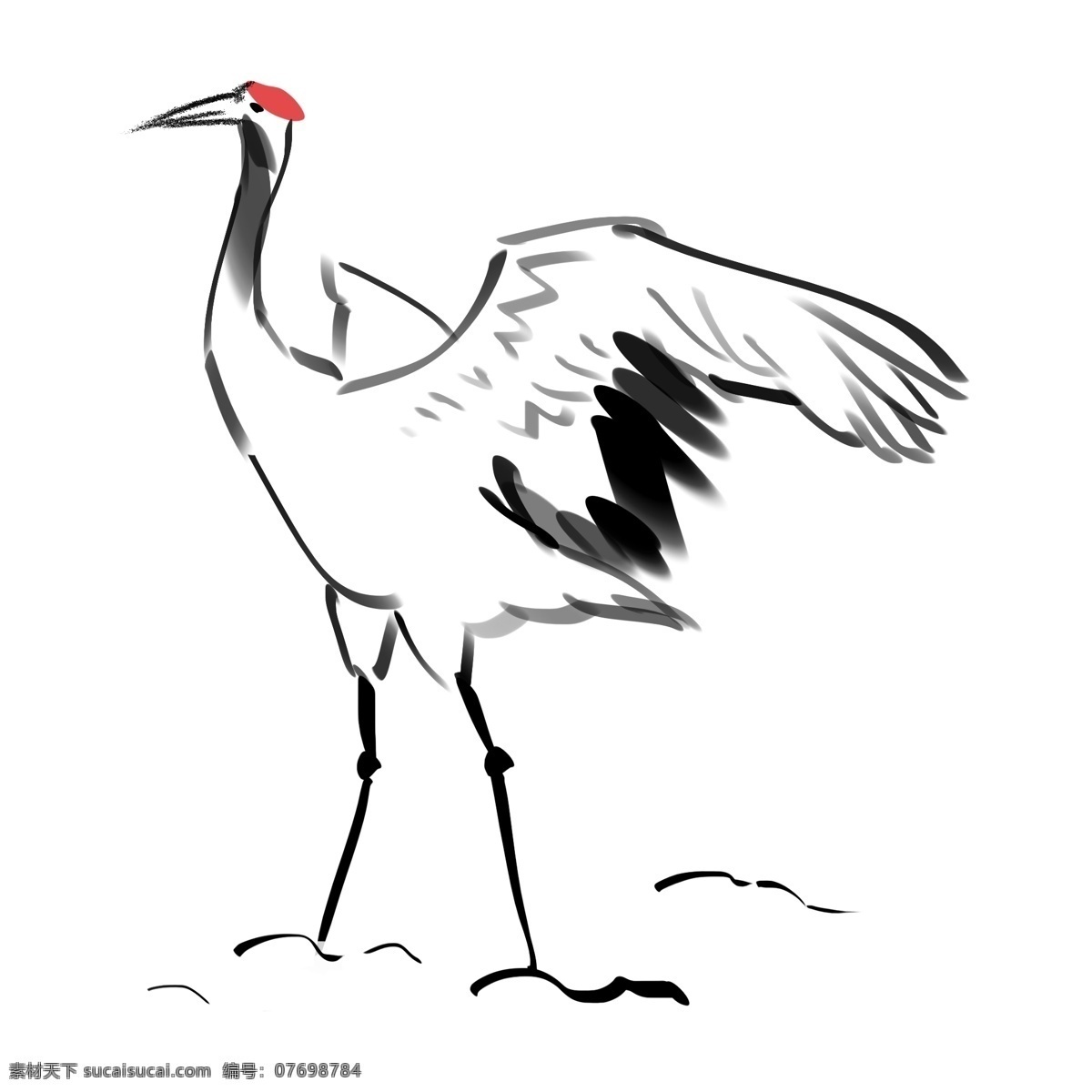 手绘 白鹤 亮 翅 插画 仙鹤 鹤 水墨仙鹤 古风仙鹤 黑白仙鹤 仙鹤插图 仙鹤插画 仙鹤壁画 仙鹤振翅