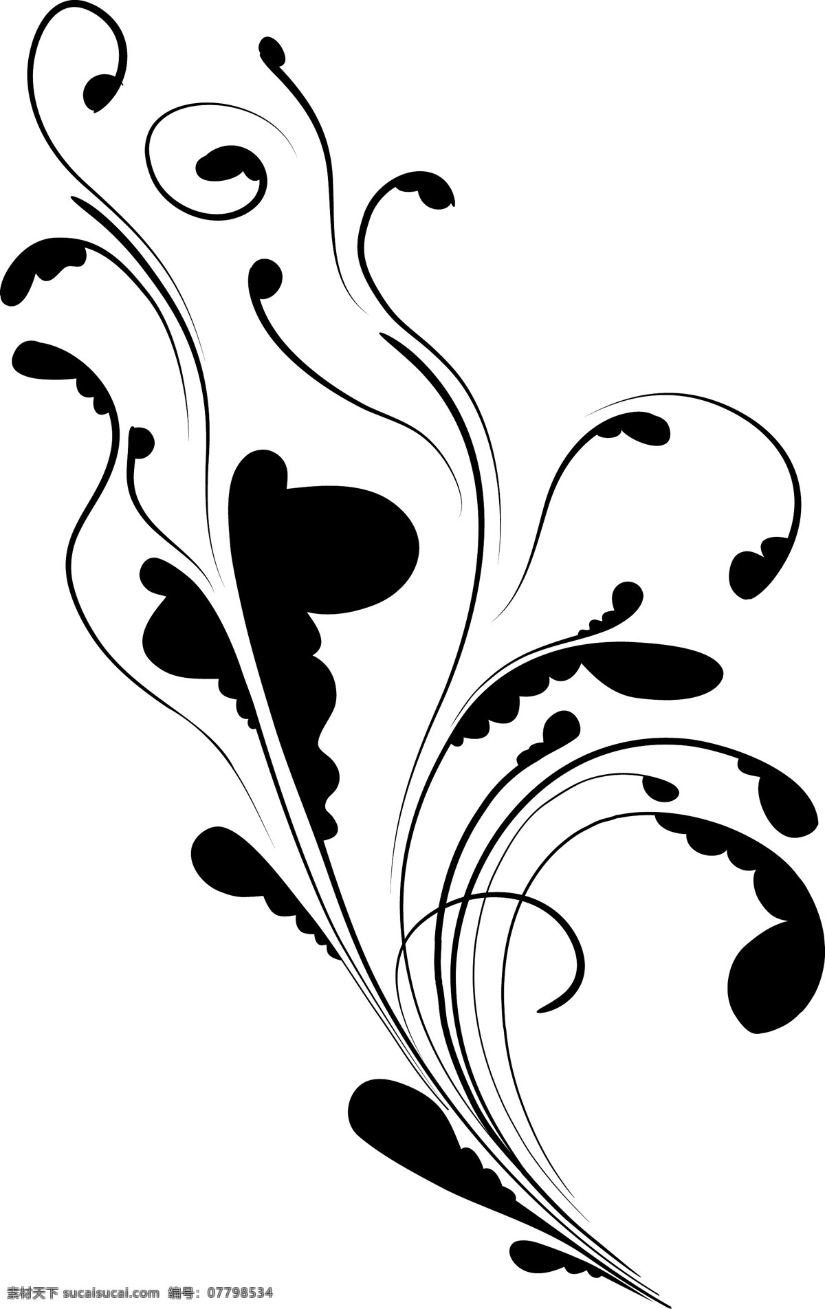 矢量花卉涡流 白色