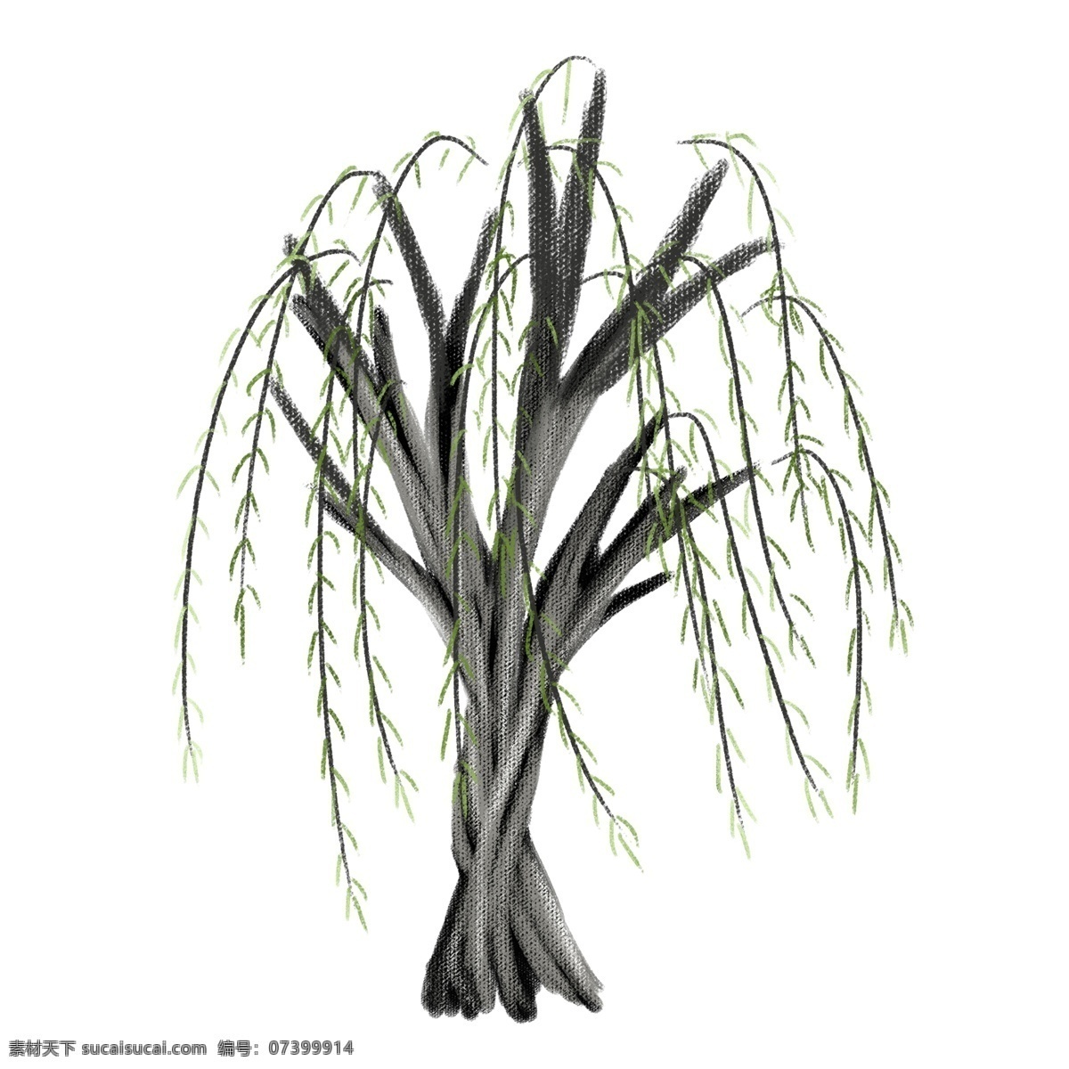 颗 柳树 原创 植物 免抠 透明底 海报装饰 平面装饰 通用 彩绘 无背景 一颗柳树 柳枝