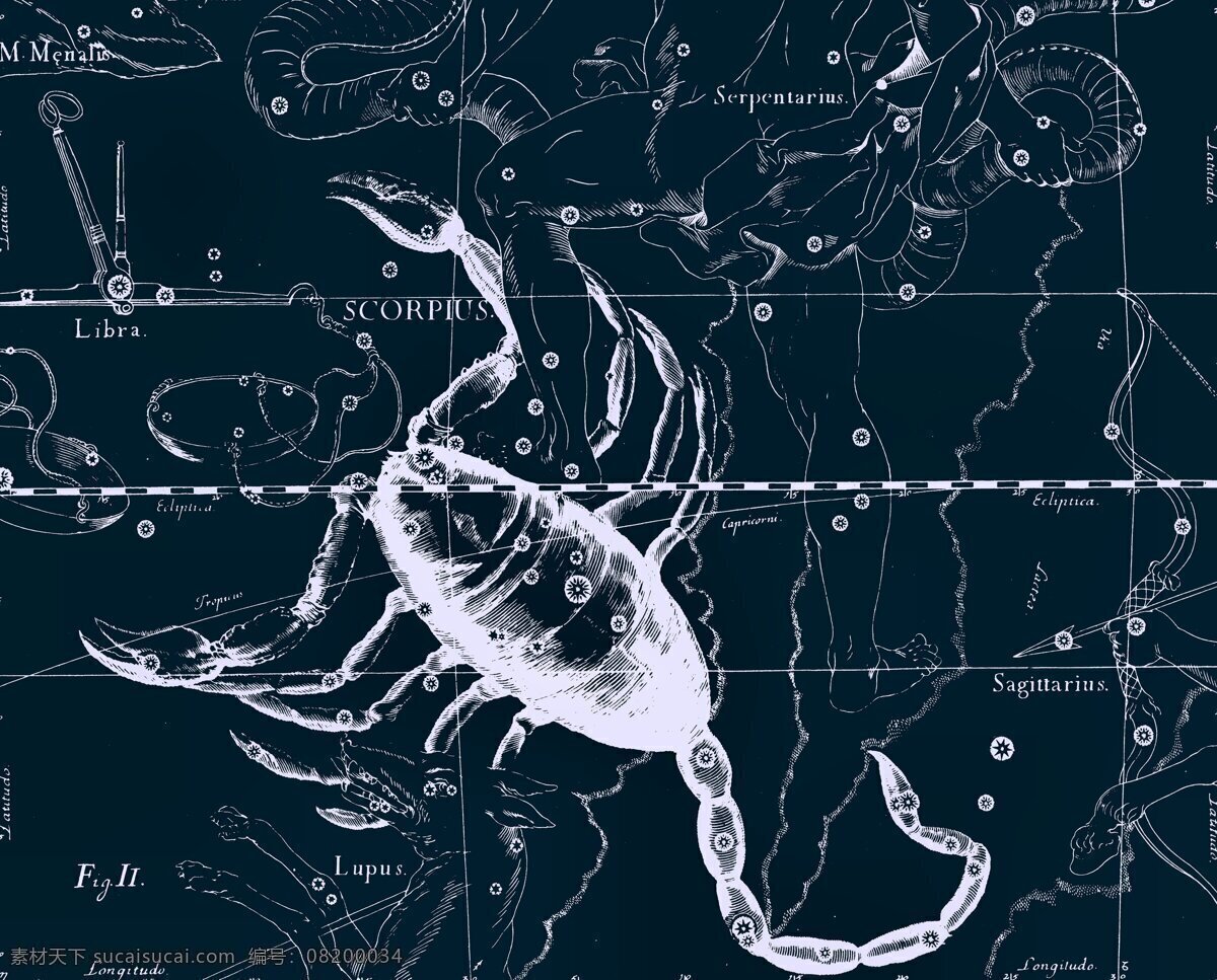 天蝎座 星座 星空 星际 十二星座 星星 天空 宇宙 天文 地理 太空 蝎子 动物 自然景观