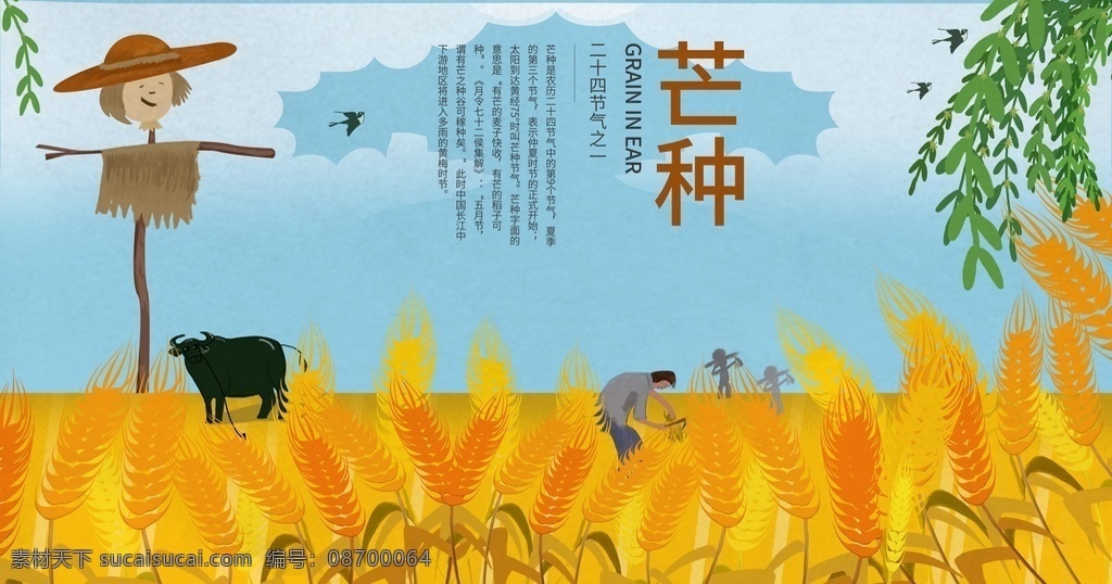 芒种图片 芒种节气 24节气 二十四节气 24节气海报 芒种海报 芒种节气海报 芒种简约海报 芒种大气海报 小麦 金黄麦子 传统24 节气