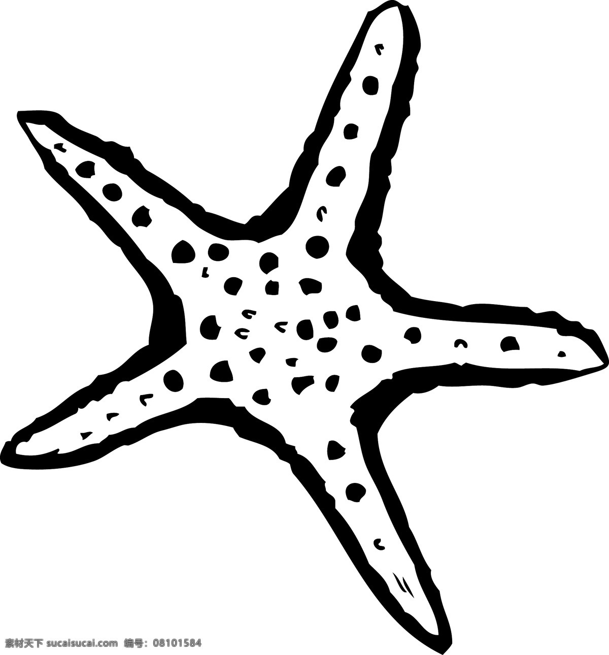 向量的海星 白色