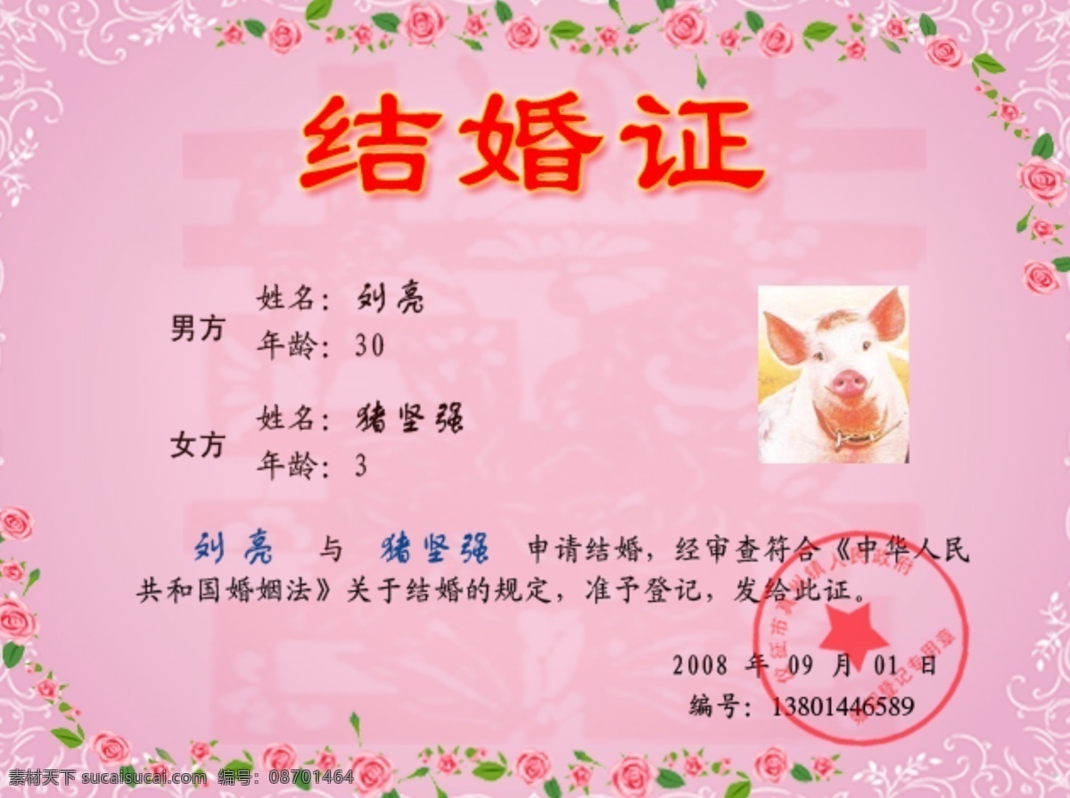 结婚证 花边 双喜 可爱猪 分层 源文件库