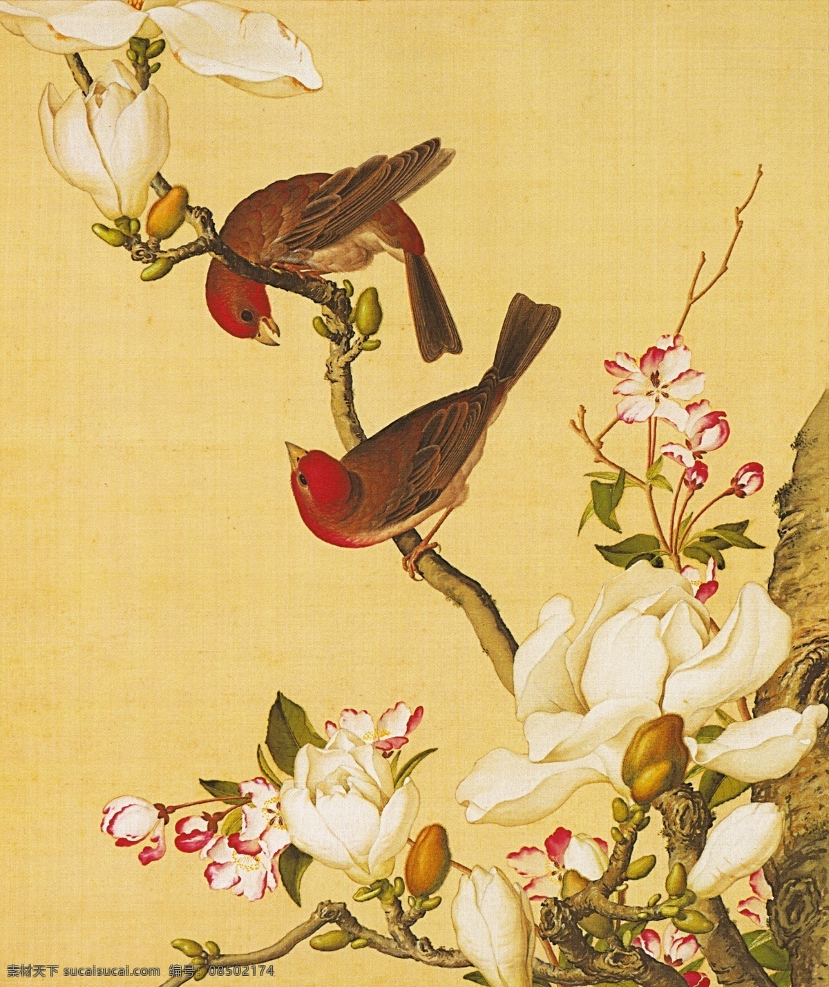 郎世宁 海棠玉兰图 国画作品 写意人物 未分层 文化艺术 绘画书法