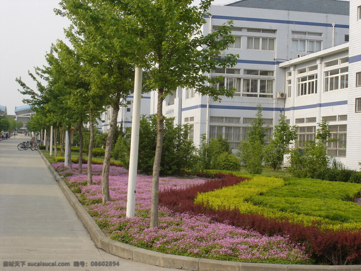 大学 校园 绿化 景观 花卉 灌木 乔木 道路 校园绿化景观 园林建筑 建筑园林