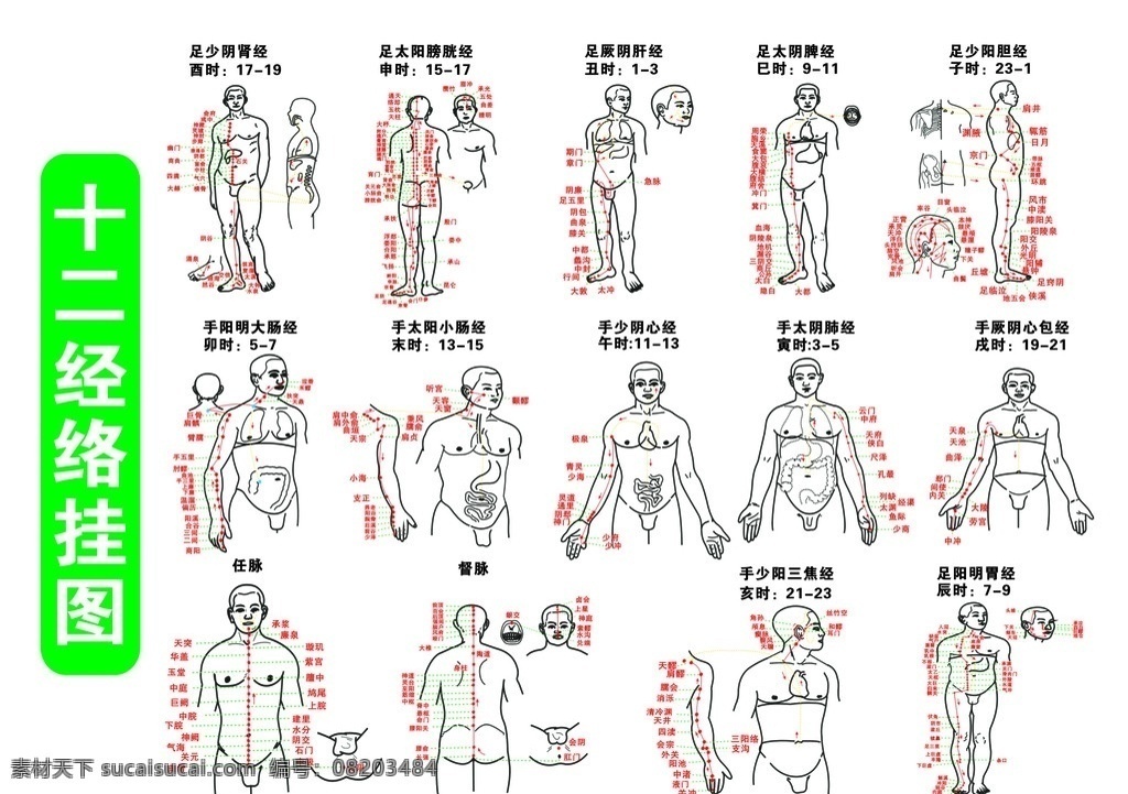 养生经络图 经络图 dm宣传单 矢量