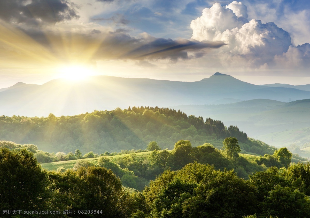 日出 森林 大树 风景 美景 阳光 唯美 远山 高山 风光 云彩 自然 景观 梦幻 壁纸 美丽自然 自然风景 自然景观