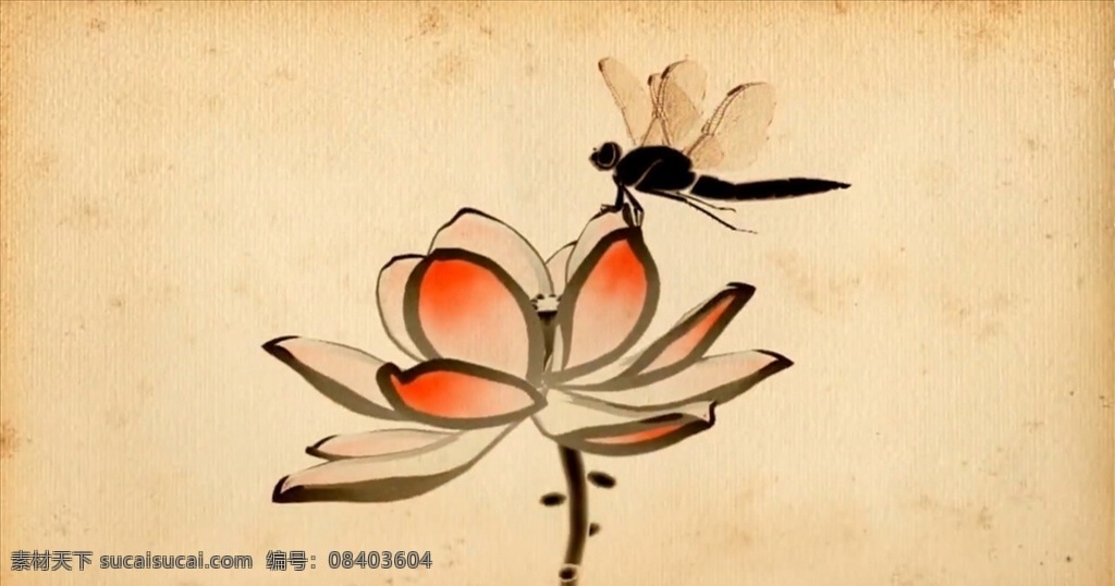 荷花 蜻蜓 背景视频 舞台背景 合成素材 中国风背景 水墨 花朵 多媒体 影视编辑 合成背景素材 mp4