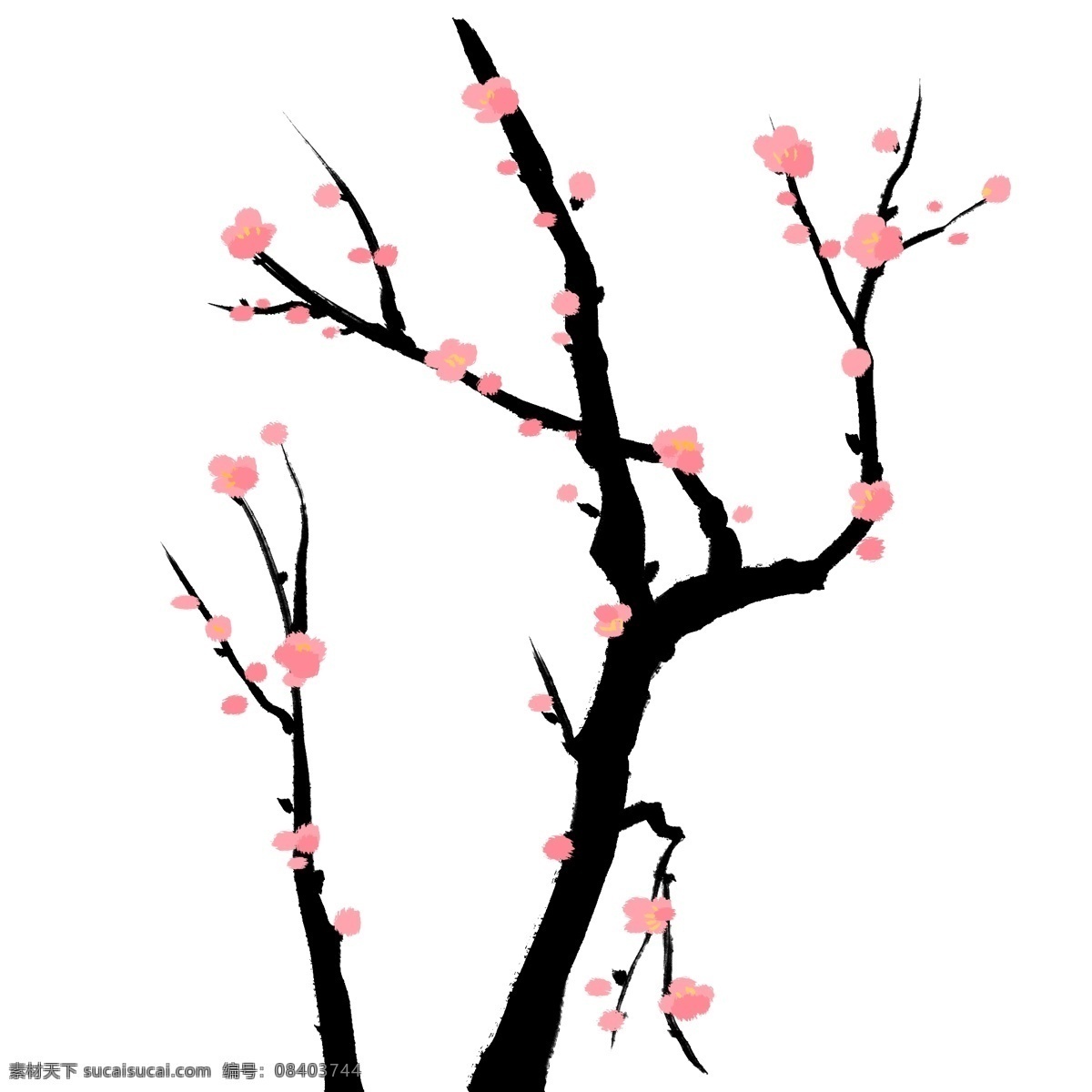 粉色梅花花朵 花朵 梅花 粉色
