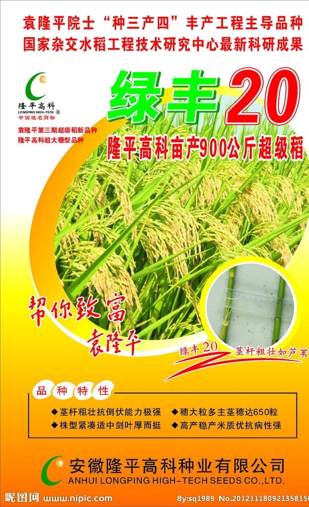 水稻种子 包装设计 绿丰20 水稻 水稻种子包装 两 优 号 包装 稻粒 底纹 商标 隆平高科 袁隆平 矢量
