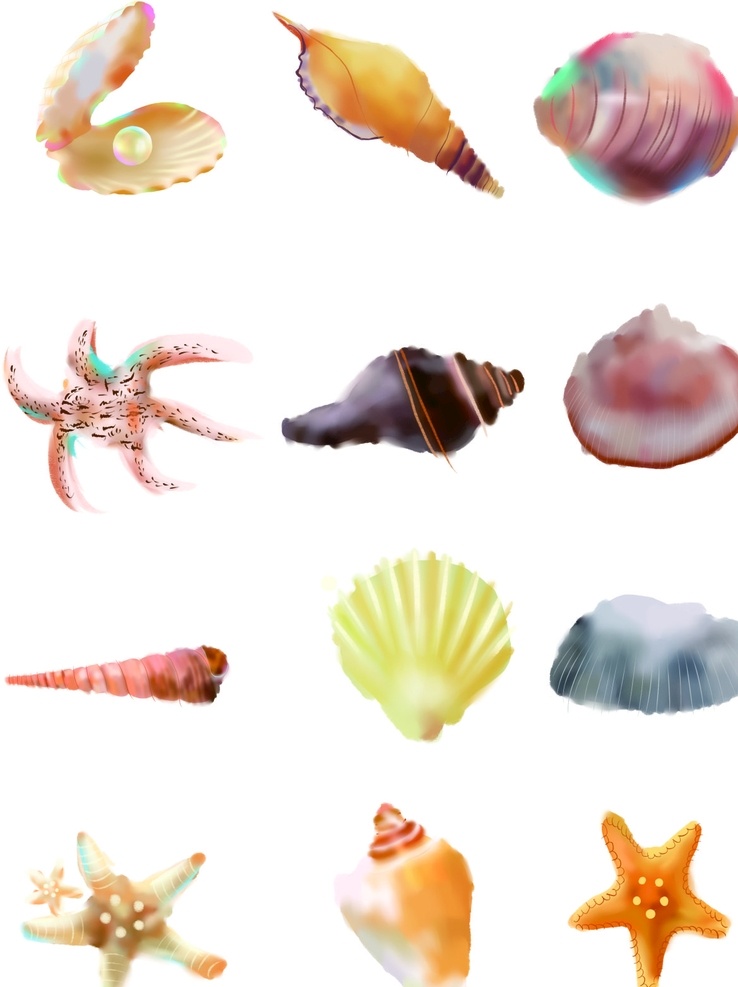 海螺 海星 贝壳 装饰 自然景观