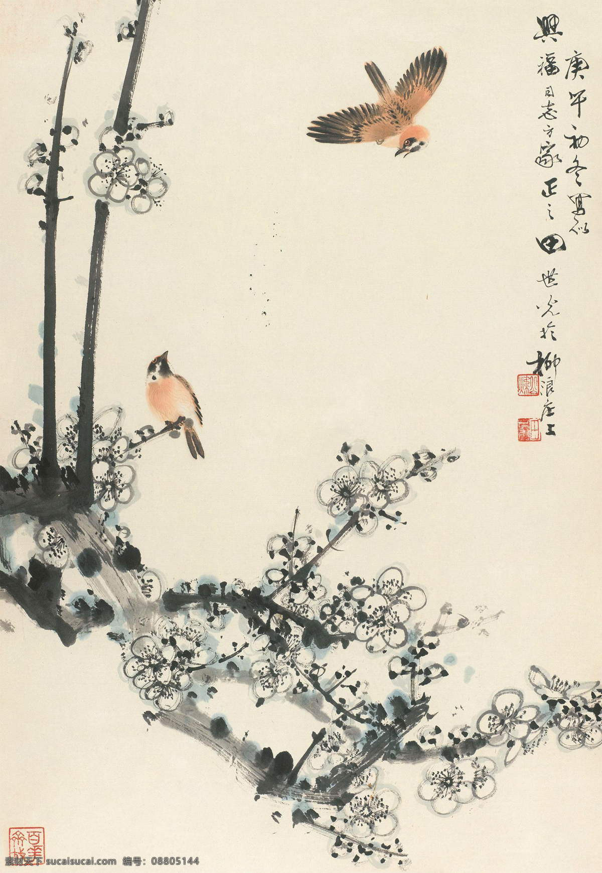 梅花双禽素材图片下载-素材编号08805144-素材天下图库