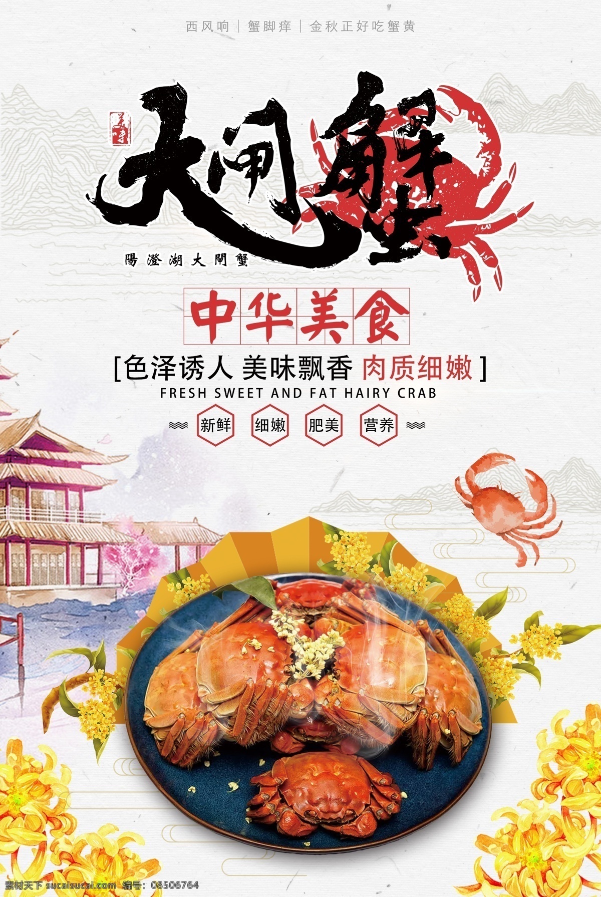 大闸蟹 美食 宣传海报 广告 海鲜 海报 中国风 大闸蟹海报 美食海报 中国风海报 菊香蟹肥 菊香蟹肥海报 阳澄湖大闸蟹 蟹 海鲜海报 阳澄湖 免费模版 美食psd