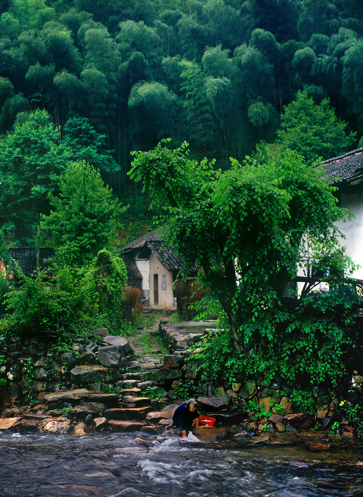 翠竹人家 竹子 竹 小溪 人家 洗衣 大山 农村 山村 乡村 小河 清溪 世外桃园 旅游摄影 自然风景 摄影图库