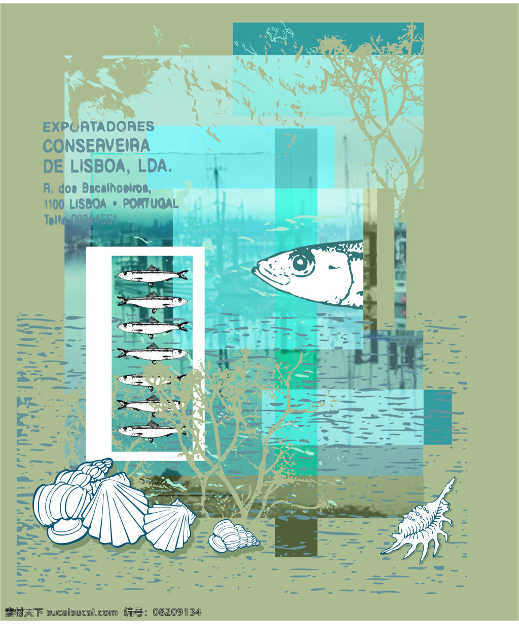 服装花纹 服装印花 印花 图案 花纹 矢量花纹 印花图案 服装图案 矢量 鱼 贝壳