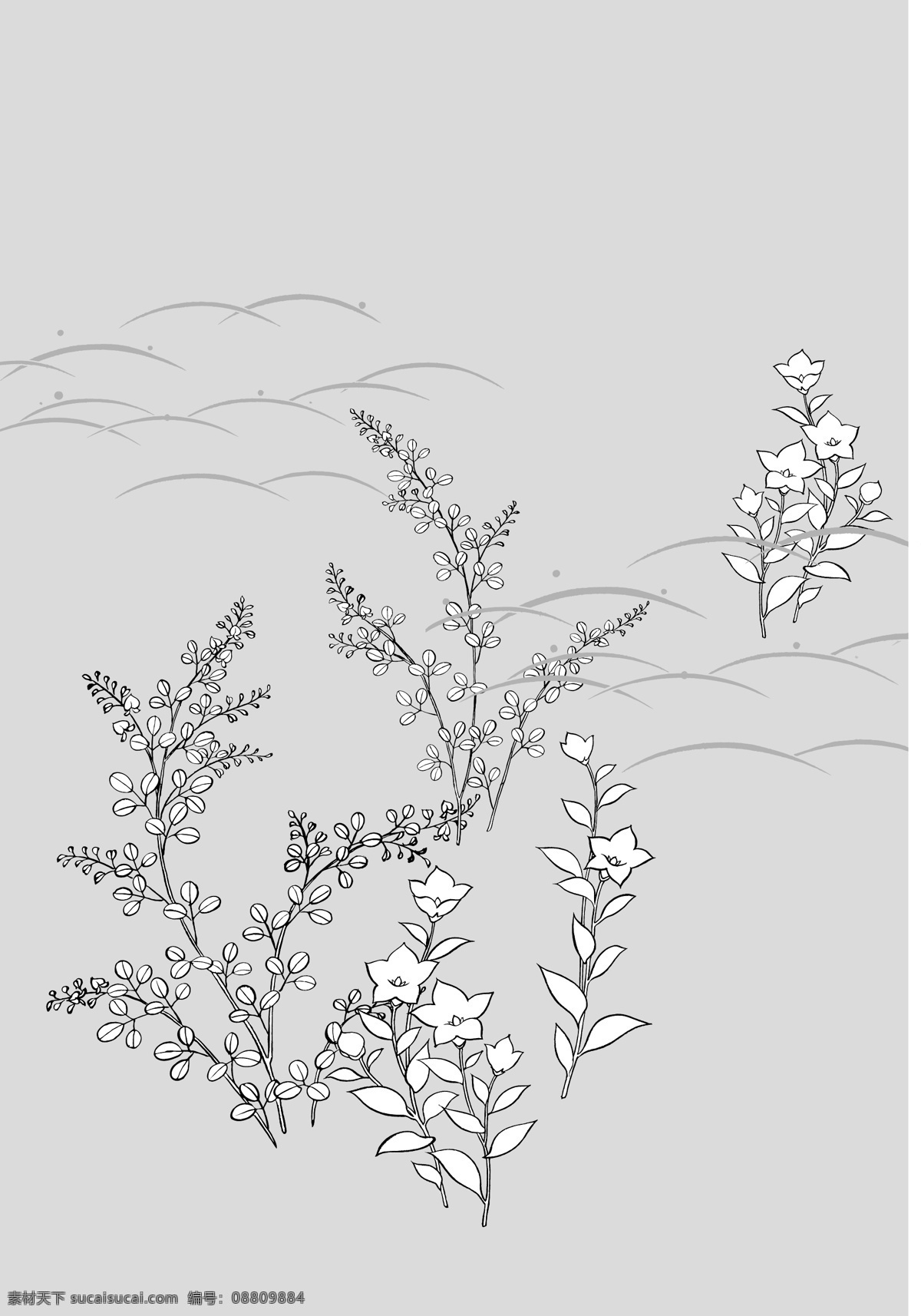 桔梗 土壤 率 日本 植物 材料 拉伸 朵 向量 ca 灰色
