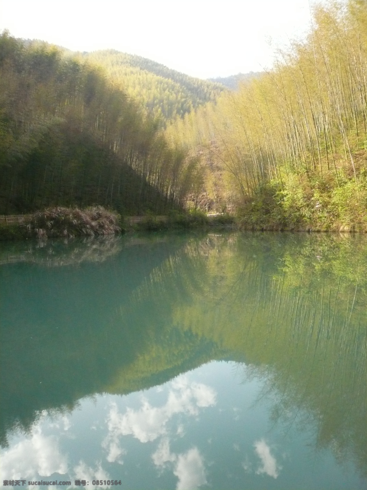 美丽 风景 木坑竹海 美丽水景 生活 旅游餐饮