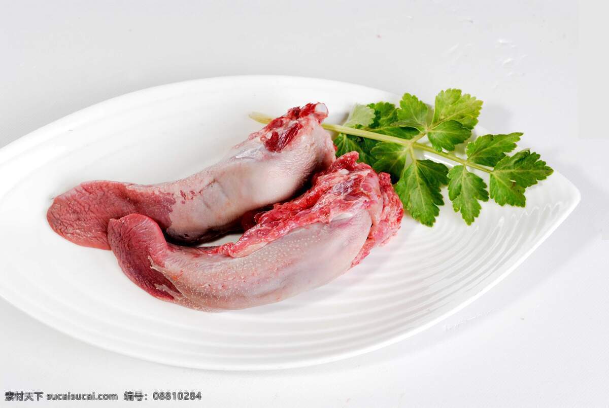 猪舌 芹菜 盘子 野猪肉 舌头 鲜肉 猪肉 食物原料 餐饮美食