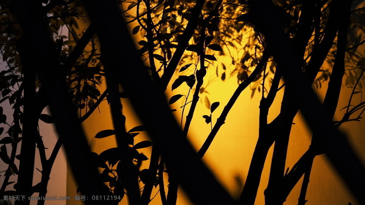 树木剪影 光艺术图片 树木 剪影 灯光 暖色调 前景 树林 旅游摄影 人文景观
