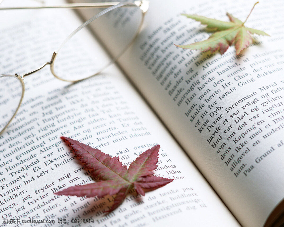 室中花 家居 装饰 点缀 绿色 净化 健康 花卉 园艺 植物 摆设 鲜花 书和眼镜 栽培 浪漫 欣赏 五彩缤纷 艺术花卉 花篮花束 插花 生活百科 生活素材 摄影图库