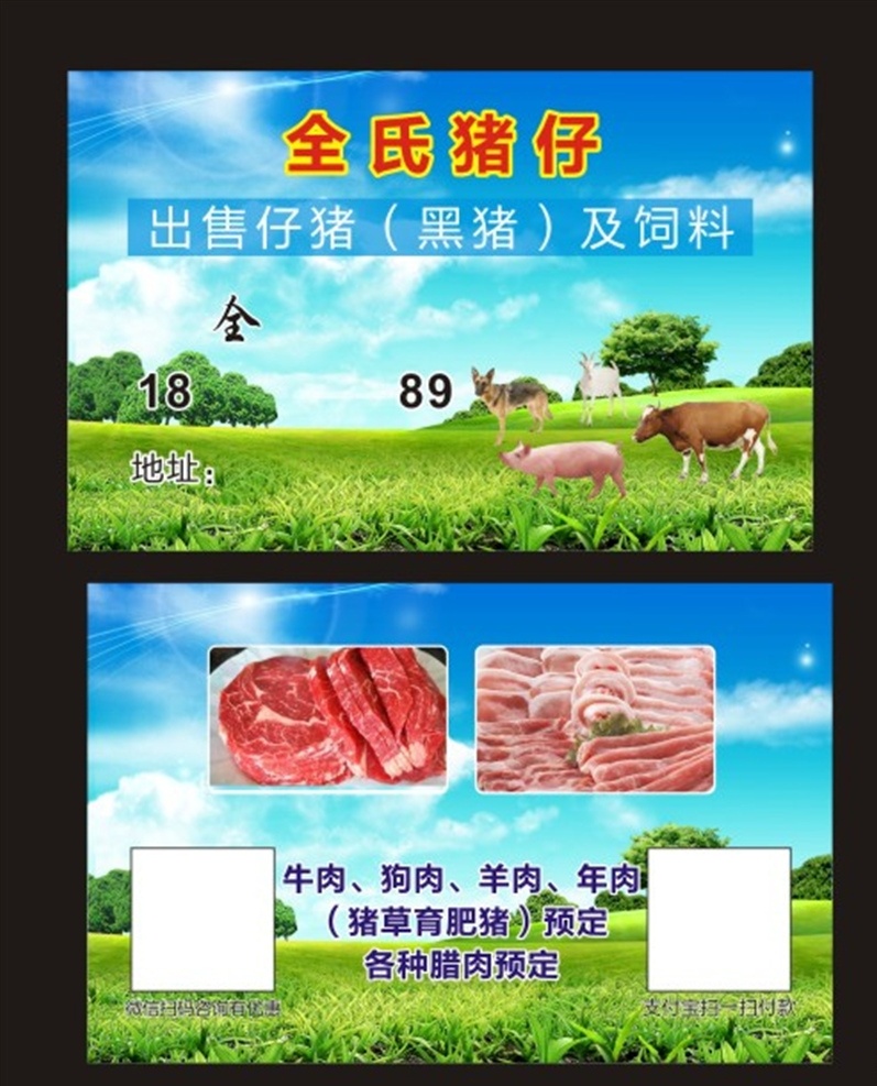 养殖名片 猪仔名片 蓝天白云草地 鲜肉名片 猪 名片卡片